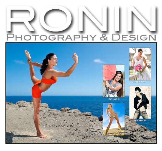 http://www397.pair.com/omegasys/pics/RoninMMLink.jpg